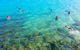 2.5hr Gold Coast Kayaking & Snorkelling Tour - thumb 9