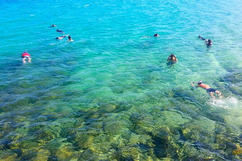 2.5hr Gold Coast Kayaking & Snorkelling Tour - Hobart Tourism 9