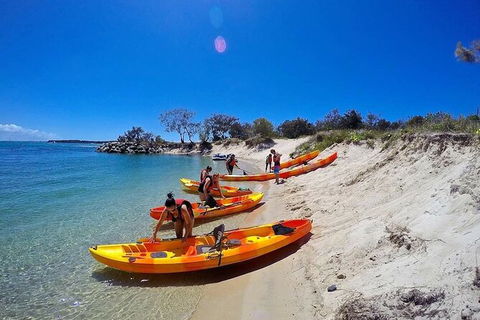 2.5hr Gold Coast Kayaking & Snorkelling Tour - Hobart Tourism 4