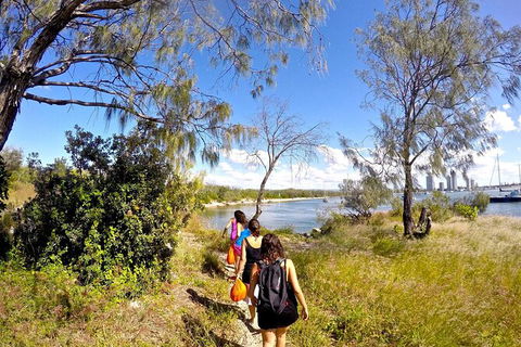 2.5hr Gold Coast Kayaking & Snorkelling Tour - Hobart Tourism 5