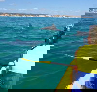 Kayak with Dolphins and 4WD Great Beach Drive Day Trip from Noosa - Tourism TAS