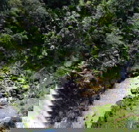 Full-day Springbrook National Park Tour from the Gold Coast - Hobart Tourism