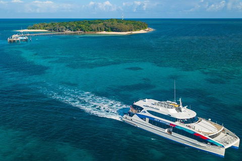 Ultimate 3-Day Great Barrier Reef Cruise Pass - Tourism TAS 5