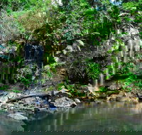 Gold Coast 4WD Eco Outback Tracks Tour - Hobart Tourism