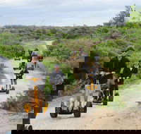 Gold Coast Segway Safari Adventure 90-minutes - Hobart Tourism