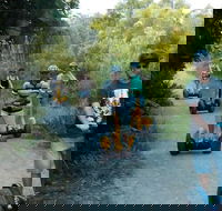Gold Coast Segway Safari Adventure 60-minutes - Hobart Tourism