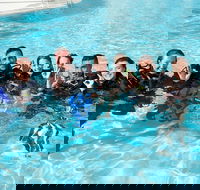 3-Day Open Water Certification Course on the Gold Coast - Hobart Tourism