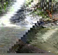 The Gold ExperiencePrivate Day Tour In Lamington National Park or Mt Tambourine - Hobart Tourism