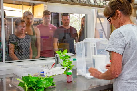 Australian Butterfly Sanctuary - Tourism TAS 6