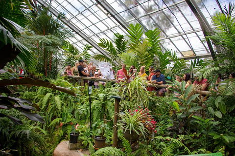 Australian Butterfly Sanctuary - Tourism TAS 4