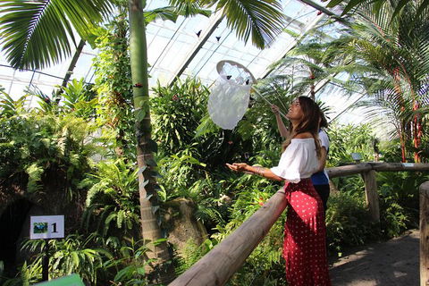 Australian Butterfly Sanctuary - Tourism TAS 2