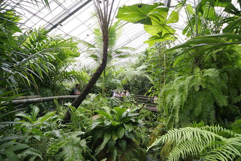 Australian Butterfly Sanctuary - Tourism TAS 1