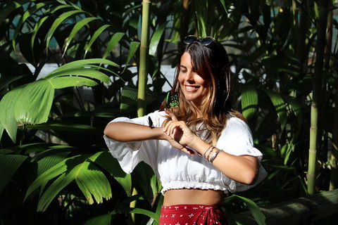 Australian Butterfly Sanctuary - Tourism TAS 3