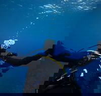 3- Day Advanced Open Water Diver Course on the Gold Coast - Hobart Tourism