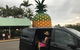 Private Transfer From Sunshine Coast Airport To Noosa For 1 To 7 People - thumb 2