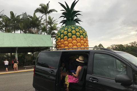 Private Transfer From Sunshine Coast Airport To Noosa For 1 To 7 People - Tourism TAS 2