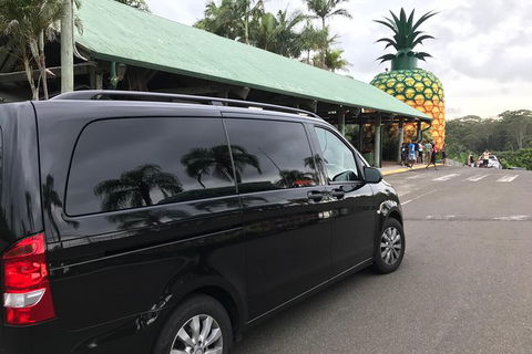 Private Transfer From Sunshine Coast Airport To Noosa For 1 To 7 People - Tourism TAS 4