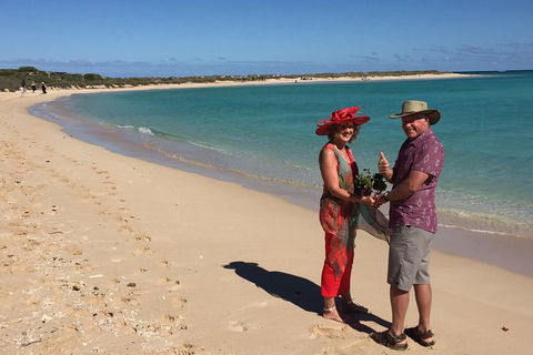 Elope In Paradise - Weddings At Mission Beach - Hobart Tourism 6