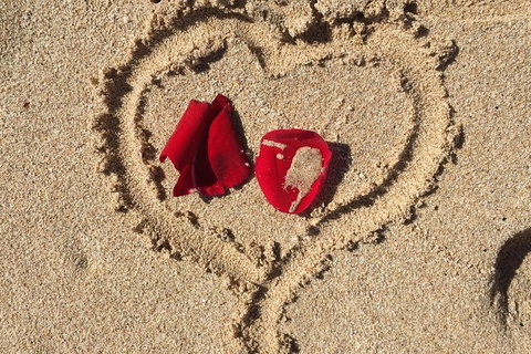 Elope In Paradise - Weddings At Mission Beach - Hobart Tourism 3