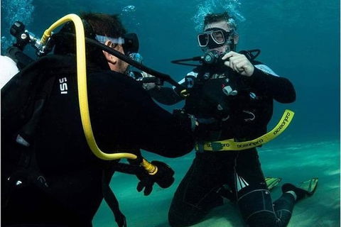 Gold Coast Try-Scuba Experience At Cook Island Aquatic Reserve - Hobart Tourism 2
