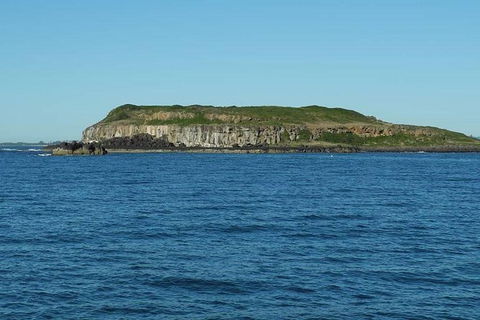 Gold Coast Try-Scuba Experience At Cook Island Aquatic Reserve - Hobart Tourism 3