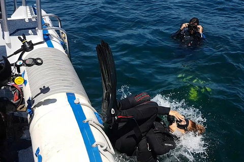 Gold Coast Try-Scuba Experience At Cook Island Aquatic Reserve - Hobart Tourism 5