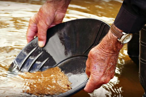 4-Day Australian Outback Tour From The Gold Coast To Sydney - Hobart Tourism 1