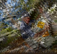 4-Day Australian Outback Tour from the Gold Coast to Sydney - Hobart Tourism
