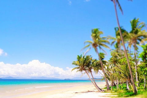 Airport Transfer - Mission Beach To Cairns Airport - Tourism TAS 3