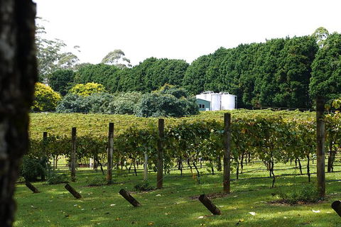 Birthday Tour - Hobart Tourism 6