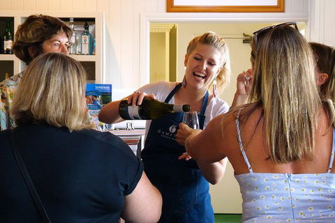 Birthday Tour - Hobart Tourism 2