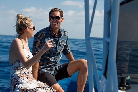 Private Tangalooma Wrecks Tour - Hobart Tourism 2