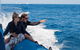 Private Tangalooma Wrecks Tour - thumb 7