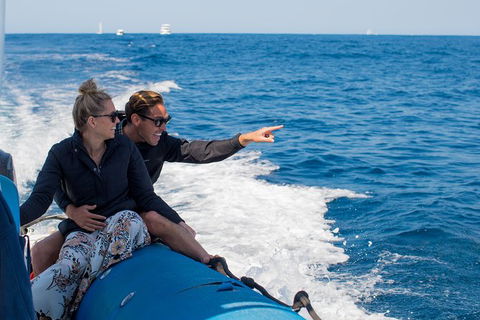 Private Tangalooma Wrecks Tour - Hobart Tourism 7