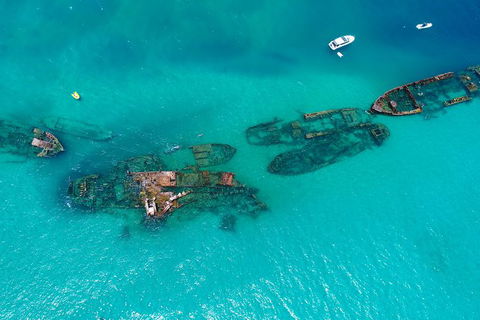 Private Tangalooma Wrecks Tour - Hobart Tourism 6