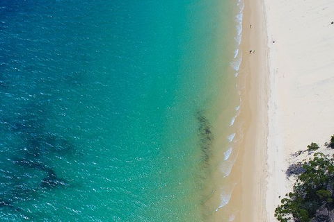 Private Tangalooma Wrecks Tour - Hobart Tourism 1