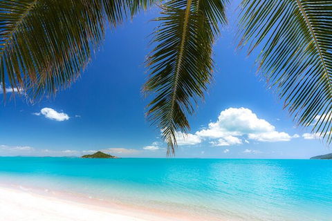 Reef, Wildlife & Rainforest - Reef & Beyond Guided Holidays - Tourism TAS 4
