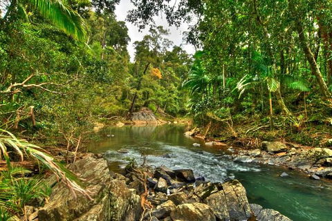 Reef, Wildlife & Rainforest - Reef & Beyond Guided Holidays - Tourism TAS 3
