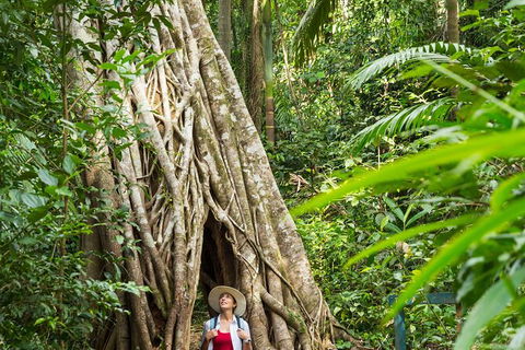Reef, Wildlife & Rainforest - Reef & Beyond Guided Holidays - Tourism TAS 2