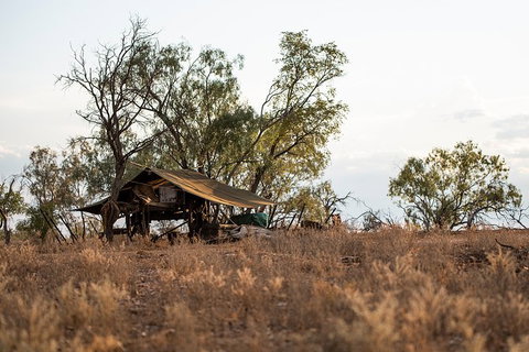 Nogo Station Experience - Tourism TAS 5