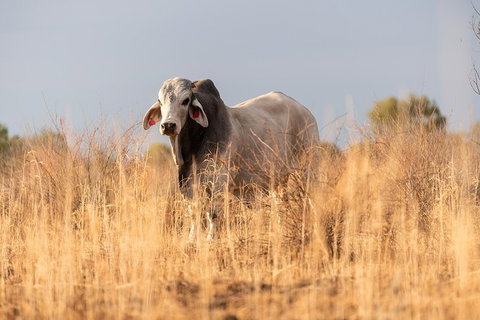 Nogo Station Experience - Tourism TAS 4