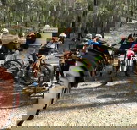 Gold Coast Mountain Bike Tour - Hobart Tourism