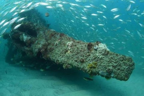 Dive The Scottish Prince Shipwreck - Hobart Tourism 1