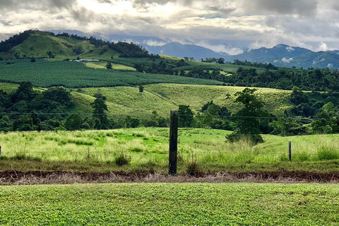 Tableland Tasting Tour - Tourism TAS 0