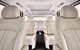Luxury Van, Private Transfer, Palm Cove - Cairns - thumb 1