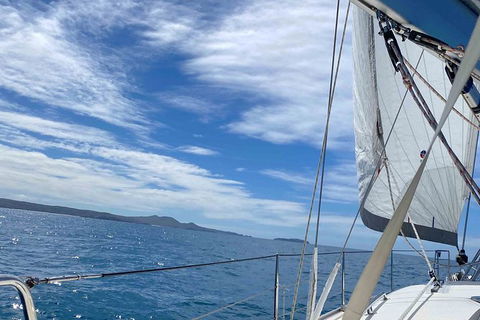 Sailing Curlew Escape On Moreton Bay - Hobart Tourism 17