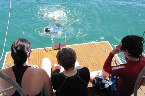 Sailing Curlew Escape On Moreton Bay - Hobart Tourism 12