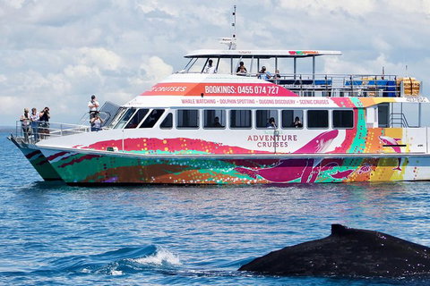 Half-Day Whale Watching In Urangan - Tourism TAS 1