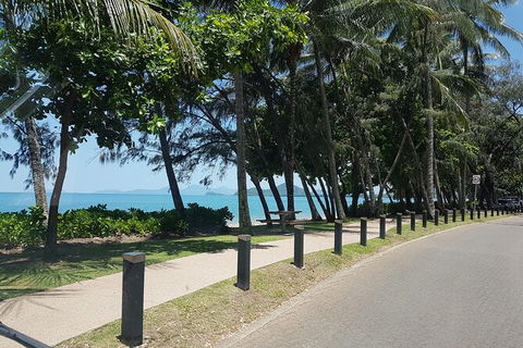 Private Transfers - Cairns Airport To Palm Cove - Tourism TAS 6