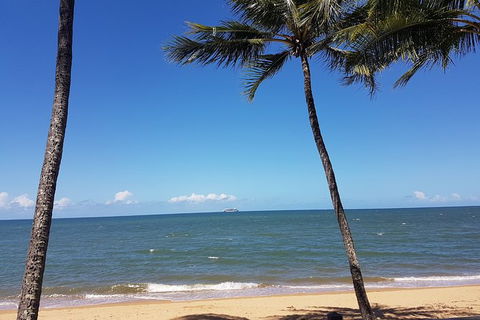 Private Transfers - Cairns Airport To Palm Cove - Tourism TAS 8